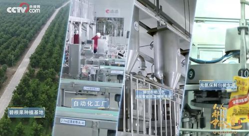 洽洽入選品牌信用建設(shè)典型案例，信息技術(shù)服務(wù)助推民族品牌發(fā)展